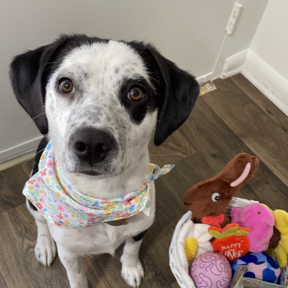 Meet your Posher, Kevin - Picture 1 of 1